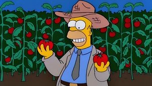 11 сезон 5 серия